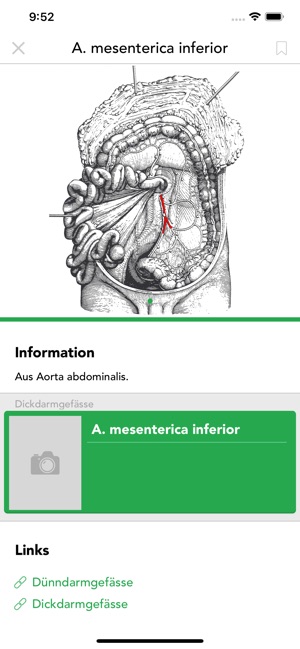 Praktikum Klinische Anatomie(圖5)-速報App