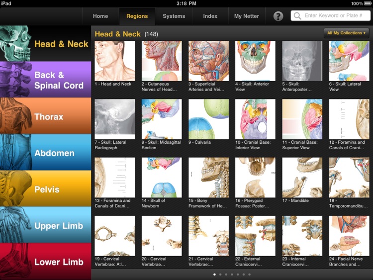 Netter's Anatomy Atlas