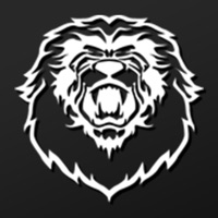 Mike Rashid Training