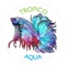 TropiCo Aqua