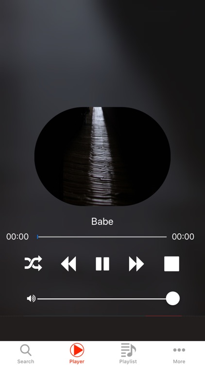Mp3 Music Player Pro Endi Box screenshot-3