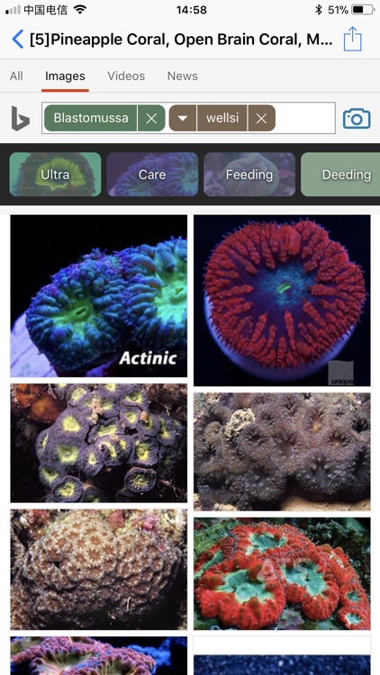 Coral Reefs Bible screenshot-4