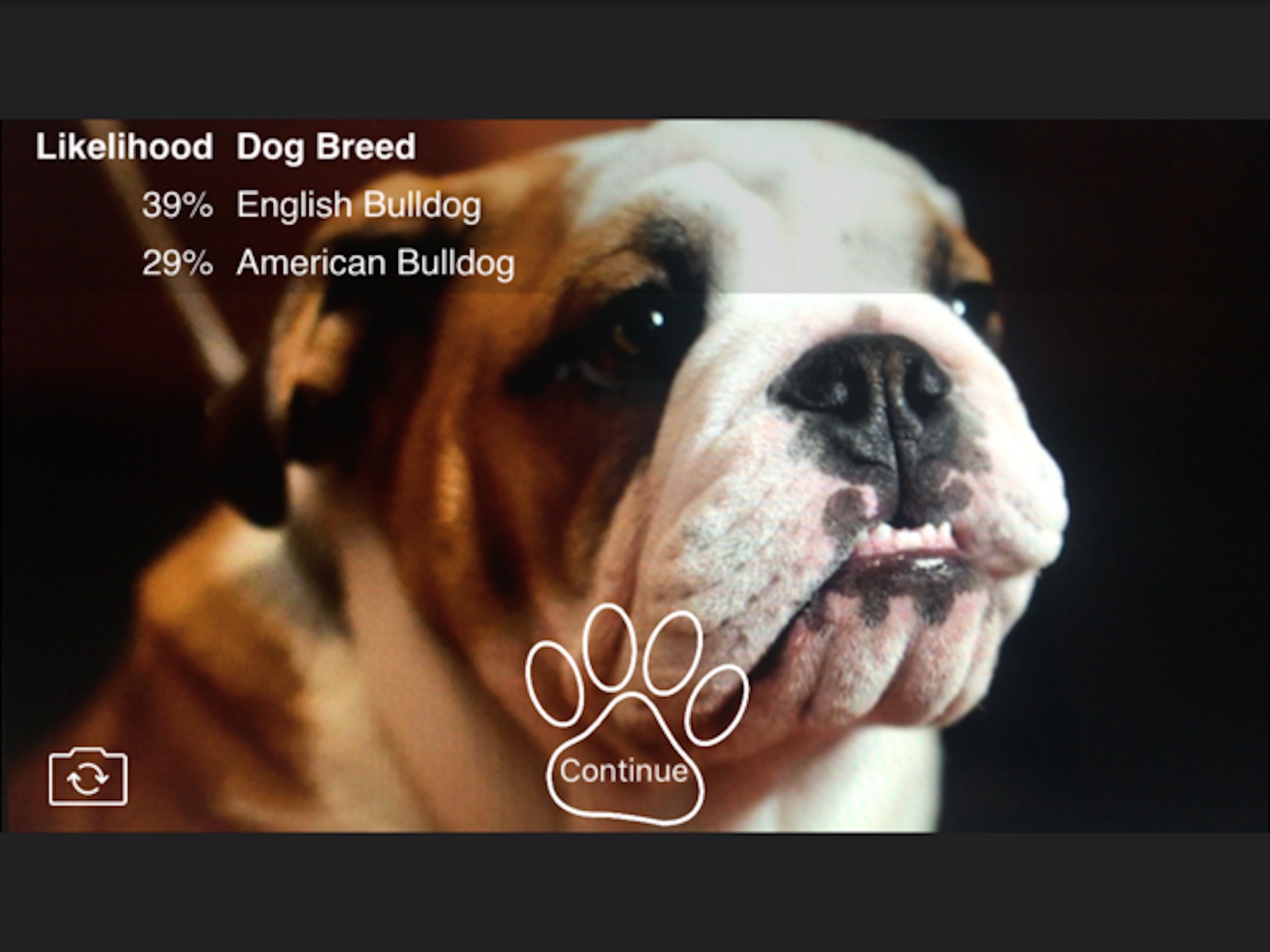 puppy.ai — Dog Breed Detector screenshot 3