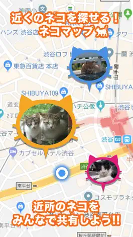 Game screenshot 近所の ネコや ノラネコを共有するアプリ『ねこ さがし』 mod apk
