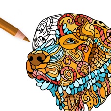 Activities of Dog Coloring Pages for Adults