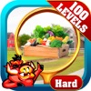 Red Farm - Hidden Objects Game