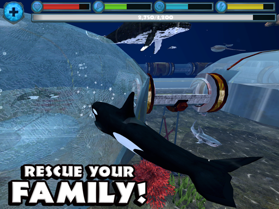 Orca Simulator для iPad