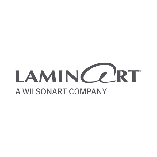 Lamin-Art Visualizer