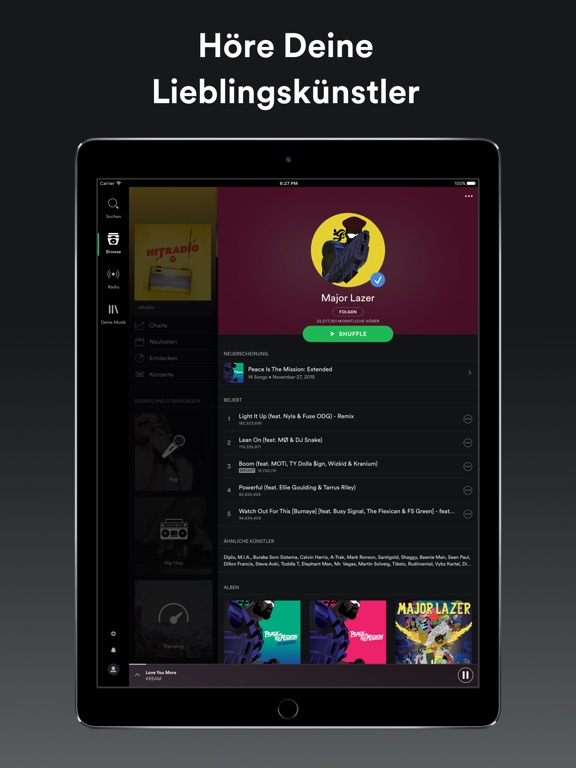 Partnersuche musik