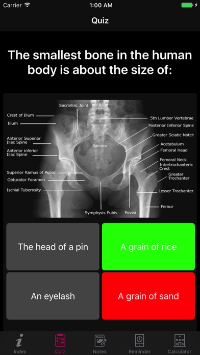 Amazing Human Body Facts, Quiz screenshot 4