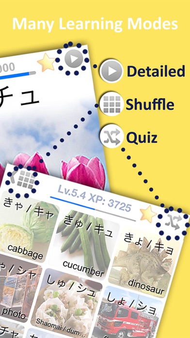 How to cancel & delete LETS Learn Hiragana & Katakana from iphone & ipad 4