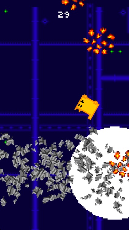 Box Cat Bash screenshot-4