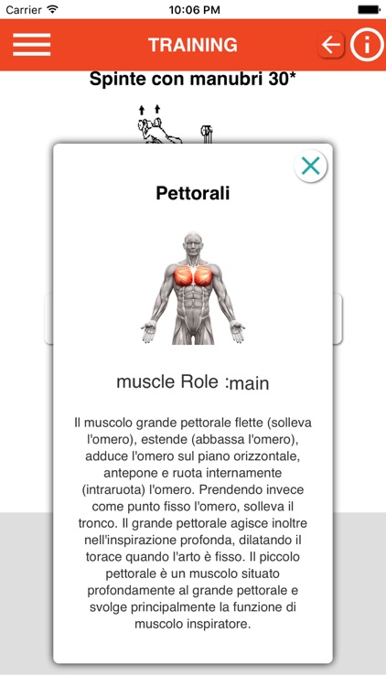 Avant Garde LabbyGym