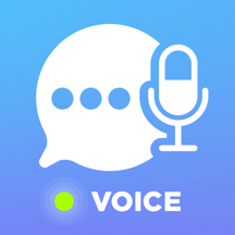 Voice Translator App.