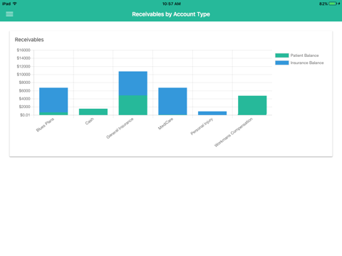 ChiroSuite Reports screenshot 4