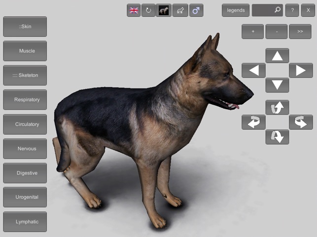 3d canine anatomy on the app store 3d canine anatomy on the app store