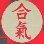 Aikido Test Prep