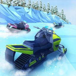 Flippy Snowmobile Race