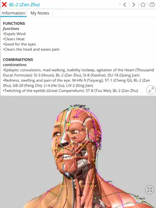 Captura de Pantalla 1 Visual Acupuncture 3D iphone