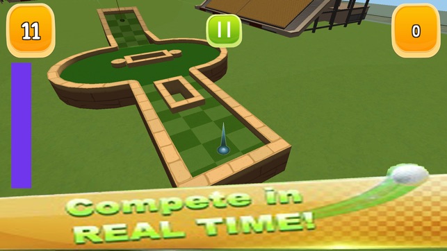 Mini World Golf