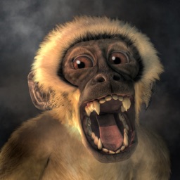 Screaming Monkey