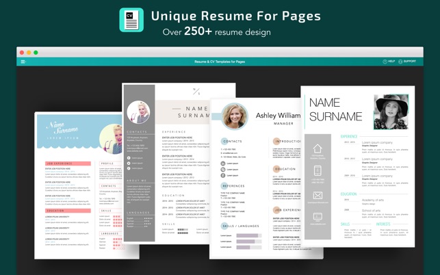 Resume Cv Templates For Pages