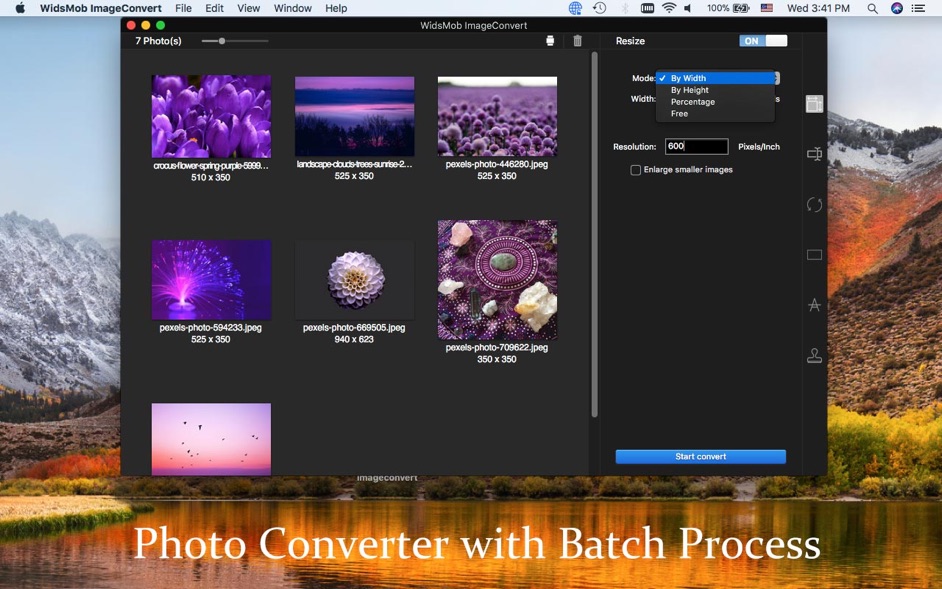 WidsMob ImageConvert 2.5.1086  Convert RAW in batch