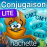 Get Révise ta conjugaison LT for iOS, iPhone, iPad Aso Report