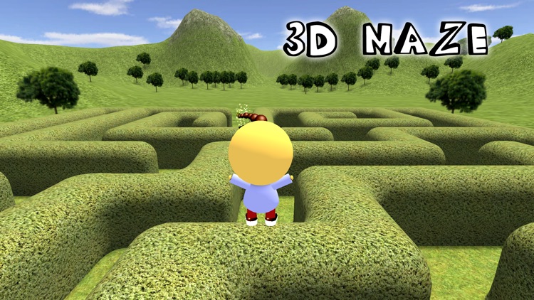 3D Maze / Labyrinth