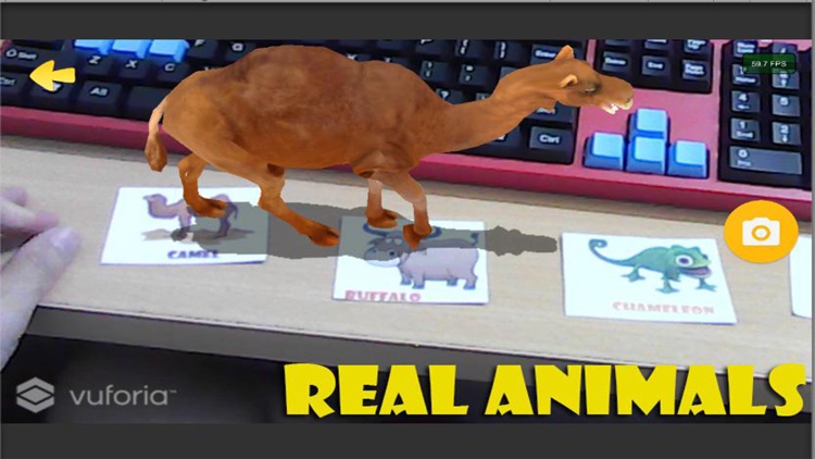 Live Animal 4D AR( Augmented Reality)