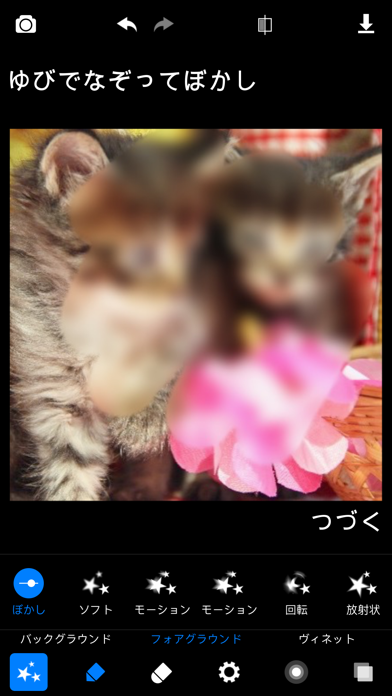 ぼかし 簡単ぼかし モザイク写真加工アプリ Iphoneアプリ Applion