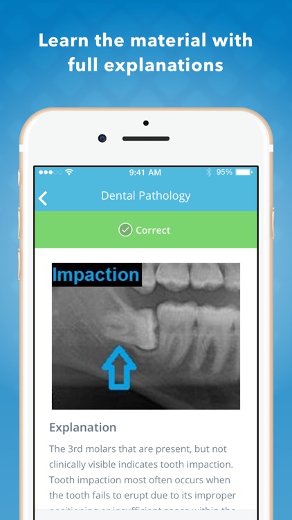 Dental Anatomy Mastery