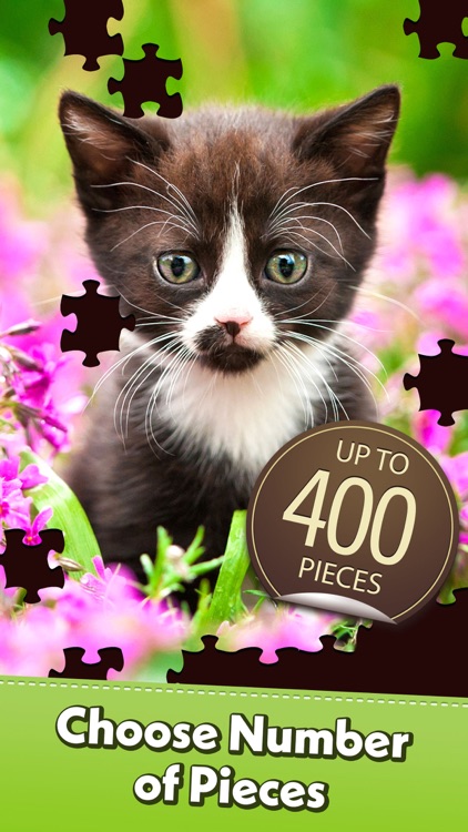 Jigsaw Puzzle Pro screenshot-3