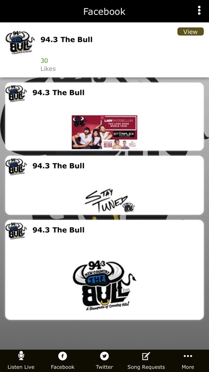 94.3 The Bull