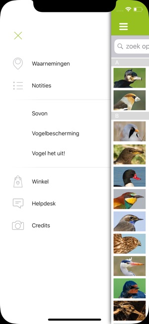 Vogels in Nederland