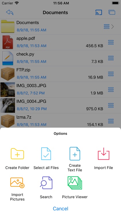 Easy FTP Pro