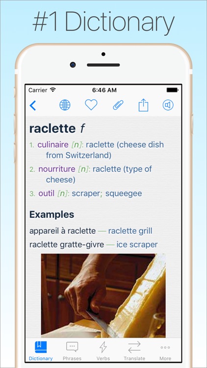 French Dictionary & Translator +