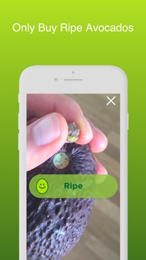 Ripe Avocado(圖2)-速報App