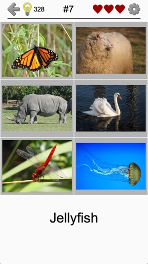 Easy Pictures - Fun Photo-Quiz(圖2)-速報App