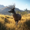 Deer Hunting: Sniper 2018