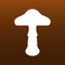 "Fungi Kingdom" is the iPad adaptation of the "Fungi" mushroom identification application