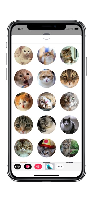 Cat Calendar 2018(圖4)-速報App