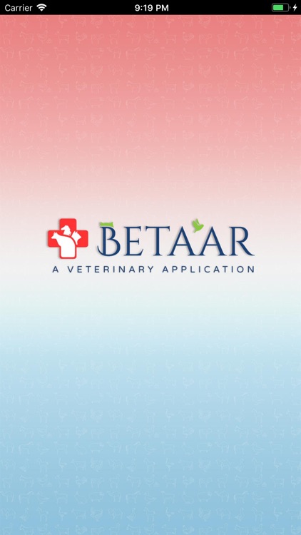 Betaar