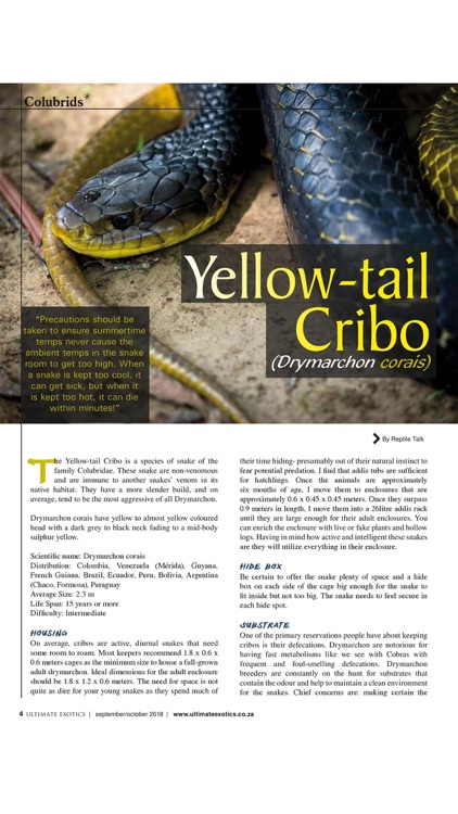 Ultimate Exotics Magazine