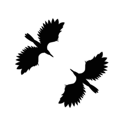 BirdPond icon