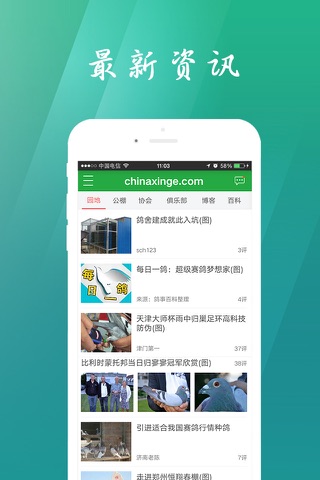 中国信鸽信息网chinaxinge.com screenshot 2