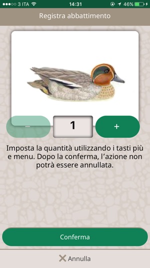 TosCaccia(圖4)-速報App