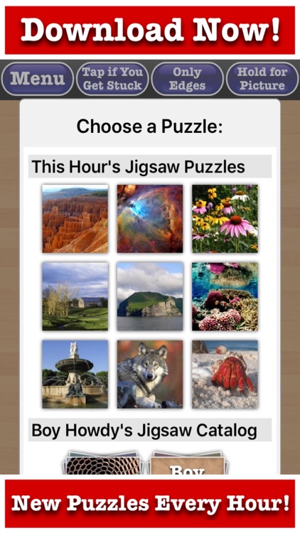 Totally Fun Jigsaw Puzzles