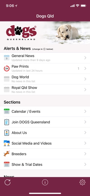 Dogs Queensland(圖2)-速報App