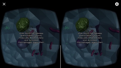 MoleculE 2 VR screenshot 4